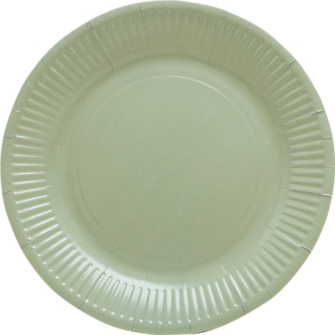 Assiette en carton vert clair avec une bordure cannelée.