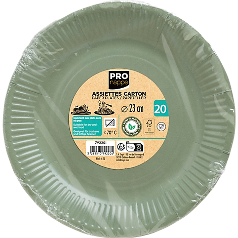 Assiettes en papier vert clair, emballées, avec étiquetage du produit. Imprimé : 23 cm, 20 pièces, assiettes en papier.
