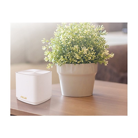 WeiÃŸer WLAN-Router mit goldenem ASUS-Logo neben einem Topf mit grÃ¼nen Pflanzen auf einem Holztisch.