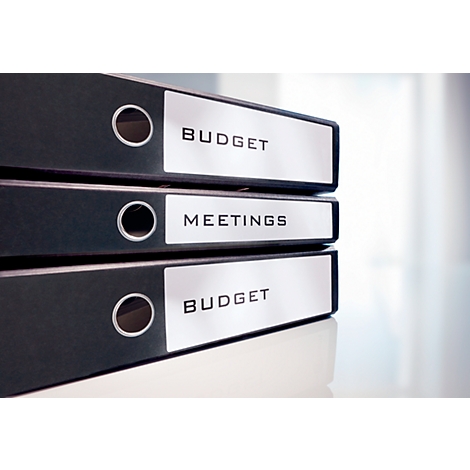 Three black folders labeled "Budget" and "Meetings".