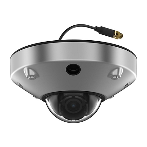 Graue Überwachungskamera, Halbkugel-Objektiv, Kabel mit Stecker.