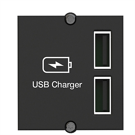 Schwarze USB-Ladestation mit zwei USB-Anschlüssen, Beschriftung "USB Charger" und Batterieladesymbol.
