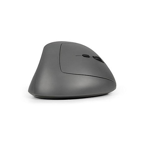 Ergonomische Maus in Grau, Seitenansicht. Zwei Knöpfe, sowie Scrollrad erkennbar. Der Hintergrund ist weiß.