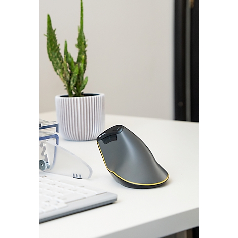Eine ergonomische, graue Maus mit goldenem Rand liegt auf einem weißen Tisch. Auf dem Tisch stehen auch eine Pflanze und eine Tastatur.