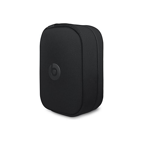 Schwarzes, lÃ¤ngliches Etui mit Beats-Logo. GekÃ¶rntes Material, abgerundete Form.