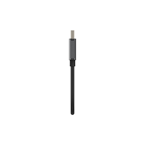 Un câble USB-C noir sur fond blanc. Prise en haut, tige allongée.