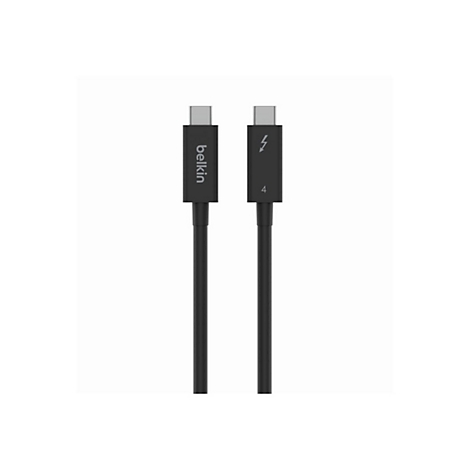Zwei schwarze USB-C Stecker eines Belkin Thunderbolt 4 Kabels vor weißem Hintergrund.