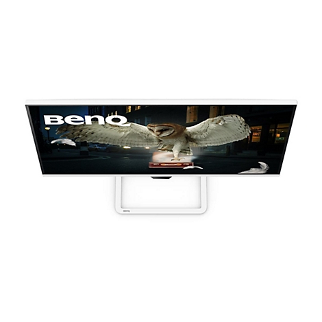 Monitor mit Eulen-Grafik, 'Beno'-Schriftzug.