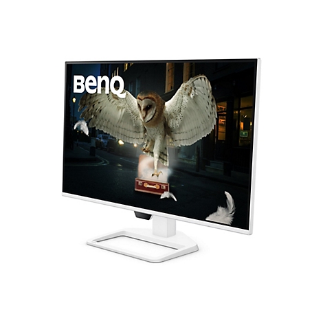 Der Monitor zeigt eine Eule mit ausgebreiteten Flügeln, die auf einem Koffer in einer nächtlichen Straßenszene steht, BenQ-Logo.
