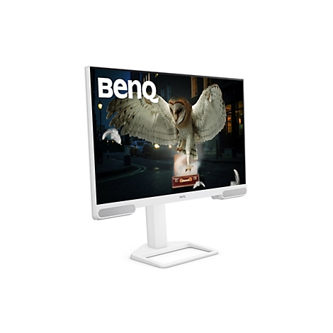 Moniteur BenQ blanc affichant une chouette dans une scène; des plumes flottantes, un coffre en dessous, une route pavée au premier plan.