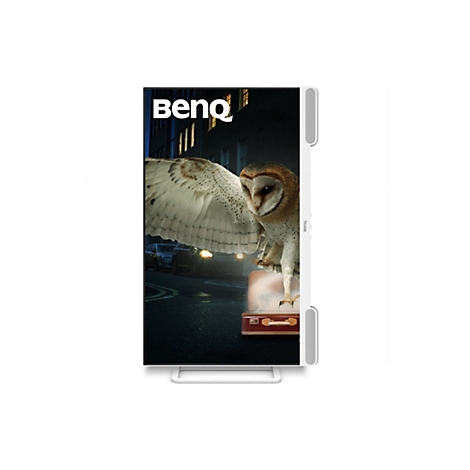 Ein BenQ-Monitor mit einem Bild einer Eule, die auf einem Koffer in einer nächtlichen Straßenszene steht.