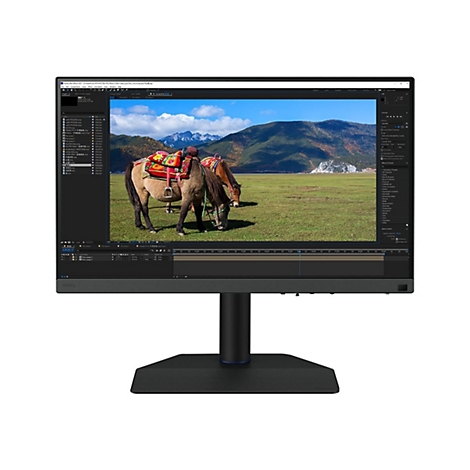 BenQ Monitor vor weißem Hintergrund mit Adobe After Effects Oberfläche und Pferden im Landschaftsbild.