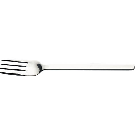 Steel fork held against a white background. The handle is straight and flat.