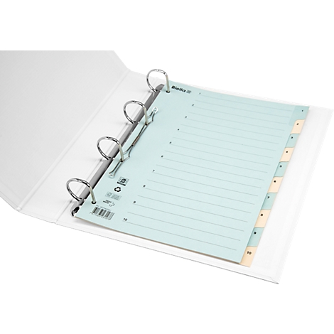 Weisser Ordner mit geöffnetem Buch, blaue Seite mit Linien und Registernummern. Metallringe halten die Seiten.