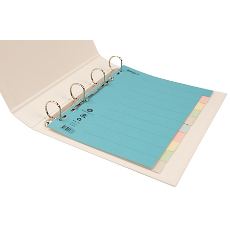 Hellbeige Ordner mit blauem Blatt und farbigen Trennblättern. Metallringe halten die Blätter.