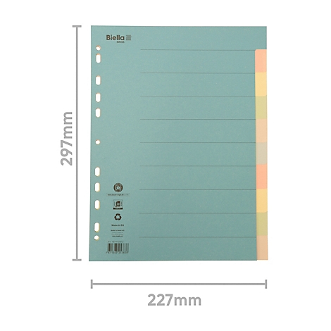 Registre bleu clair avec onglets colorés. Perforations à gauche, onglets étiquetés à droite. Dimensions : 297 mm x 227 mm.