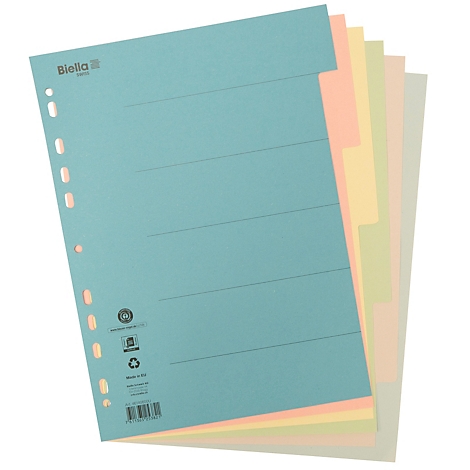 Séparateurs multicolores avec trous. Le devant est bleu clair avec des lignes horizontales. Nom de marque imprimé.