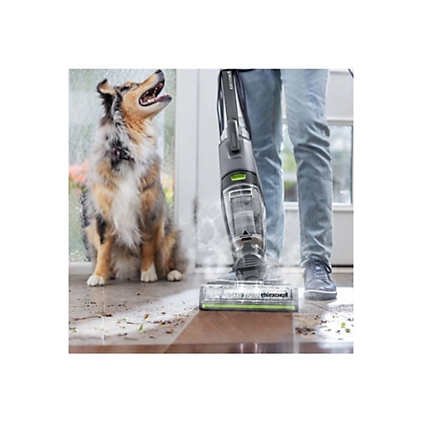 Ein Mann reinigt den Boden mit einem Nass-Trocken-Sauger. Ein Hund beobachtet aufmerksam. Dampf steigt auf.