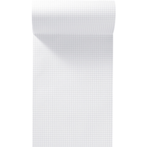 Une feuille de bloc-notes quadrillée, à moitié enroulée, avec de légers ombrages.