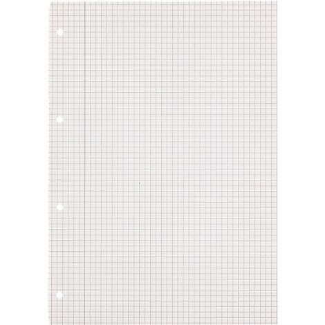 Une feuille de papier blanc avec un quadrillage et quatre perforations sur le bord gauche.