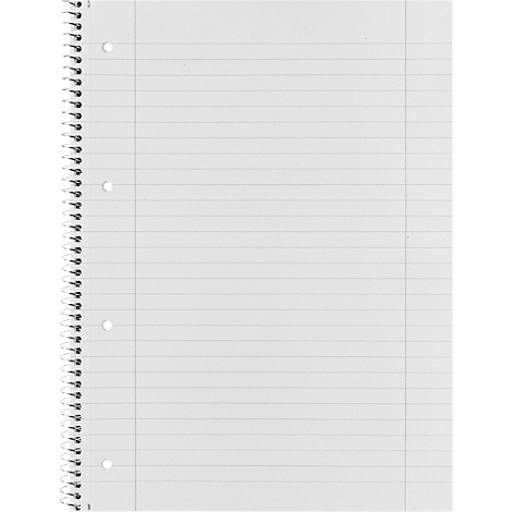 Page vierge d'un bloc-notes à spirale ligné avec des perforations sur le côté.