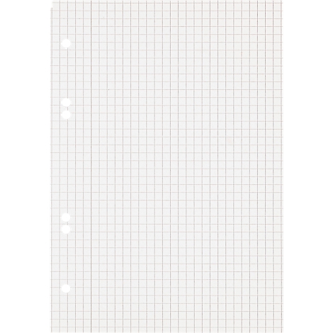 Une feuille de papier quadrillé avec des trous de perforation sur le côté gauche.