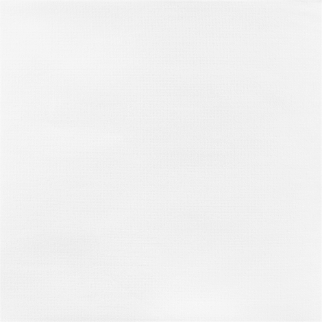 Image blanche avec une texture fine qui crée un léger tramage.