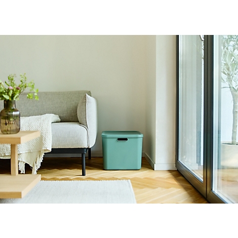 Boîte de rangement vert clair avec couvercle et encoche de poignée sur fond blanc.