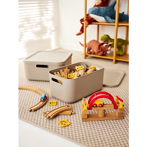 Boîte de transport Rotho Albula, volume 12 l, empilable, avec couvercle amovible et trous de préhension, L 395 x l 235 x H 177 mm, plastique recyclé, marron