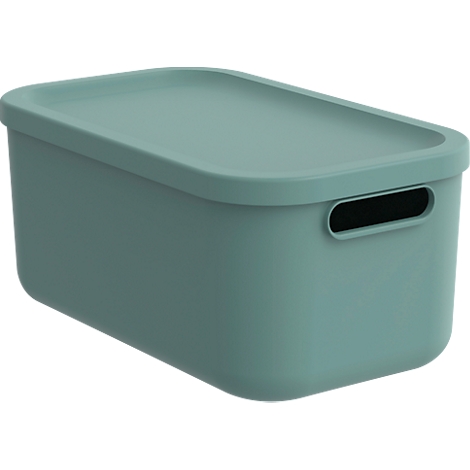 Boîte de transport Rotho Albula, volume 12 l, empilable, avec couvercle amovible et trous de préhension, L 395 x l 235 x H 177 mm, plastique recyclé, vert