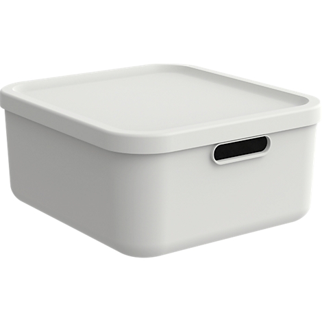 Boîte de rangement blanche avec couvercle, avec poignée, sur fond neutre.