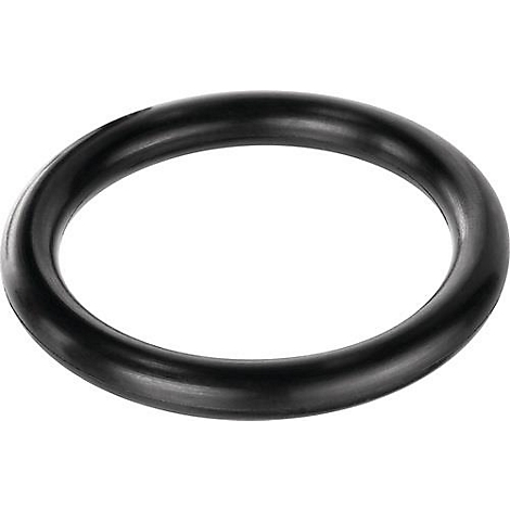 Een zwarte O-ring, ringvormig, ligt op een witte achtergrond.