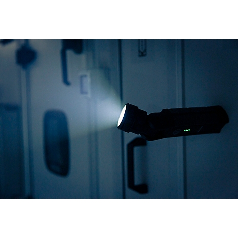 Symbole rond et rouge avec les mots "AUSTAUSCHBAR REPLACAABLE" en blanc. Un symbole de flèche entoure un symbole de batterie.