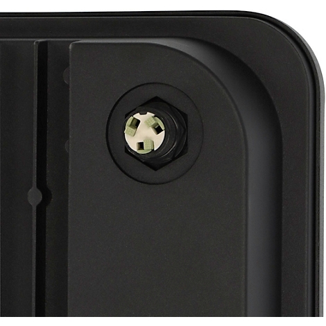 Un éclairage LED illumine une façade verte recouverte de plantes.