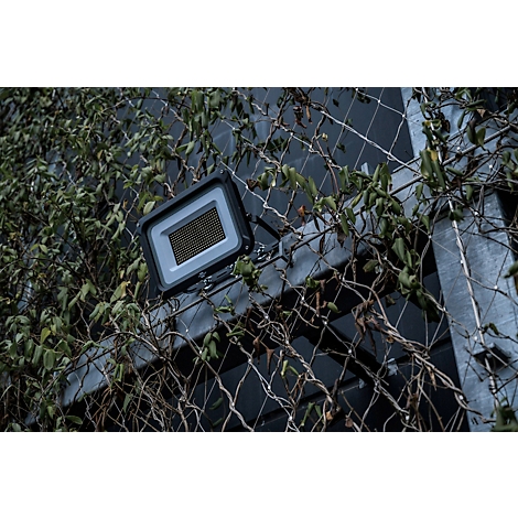 Lampe d'extérieur sombre sur clôture grillagée. Des lianes végétales entourent la lampe, qui présente une grille.