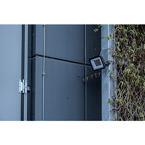 Donkergrijze gevel met hoeklicht, vegetatie en metalen kabel. Klimplanten rechts, scharnieren links.