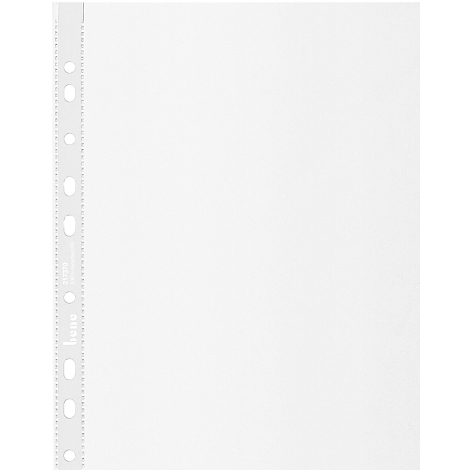 Transparent punched pocket with holes on the left edge.