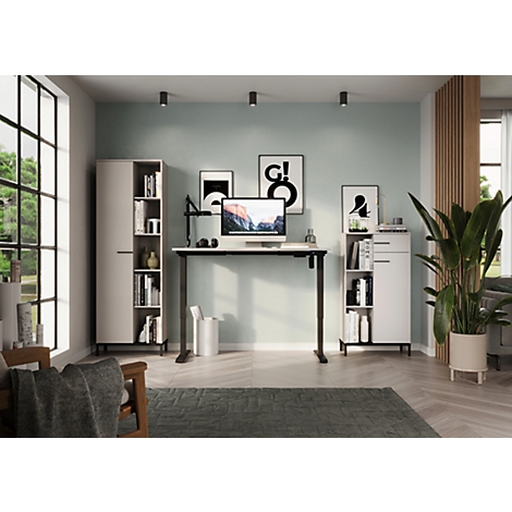 Een moderne thuiskantoor met een stacomputer, boekenkasten, planten, kunst aan de muur en een groot raam.