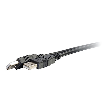 Schwarzes USB-Kabel mit Steckern in Nahaufnahme, vor weißem Hintergrund.