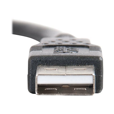 Nahaufnahme eines USB-A-Steckers, schwarz mit silbernem Anschluss. Oben ein Teil des schwarzen Kabels.