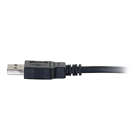 Nahaufnahme eines schwarzen USB-Kabels mit zwei Enden, das auf weißem Hintergrund liegt.