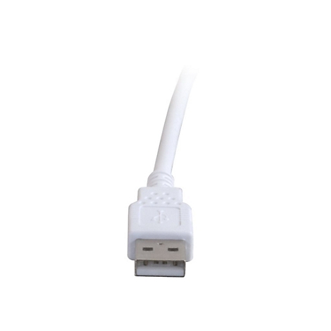 Nahaufnahme eines weißen USB-Kabels mit Stecker. Kabel und Stecker sind klar vor weißem Hintergrund dargestellt.