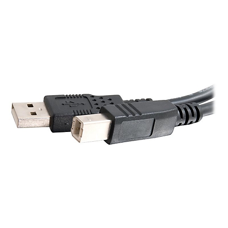 Nahaufnahme zweier schwarzer USB-Kabel mit unterschiedlichen Steckern, vor weißem Hintergrund.