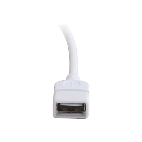 Nahaufnahme eines weißen USB-Adapters mit schwarzem Anschluss, an einem weißen Kabel.