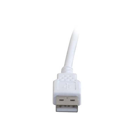 Nahaufnahme eines weißen USB-Kabels, Stecker nach unten gerichtet.