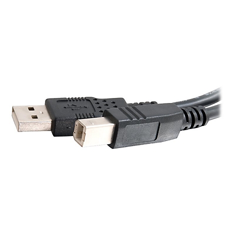 Nahaufnahme von zwei USB-Kabeln mit unterschiedlichen Steckern, vor weißem Hintergrund.