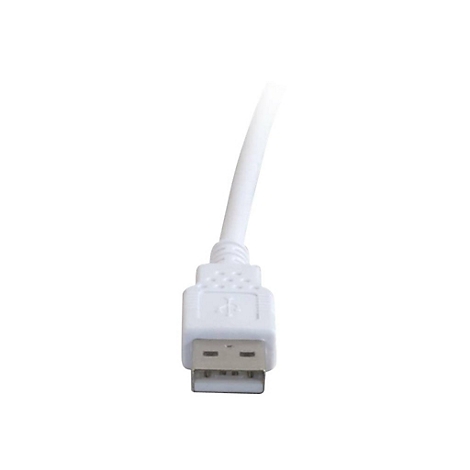 Nahaufnahme eines weißen USB-Kabels mit Stecker, isoliert auf weißem Hintergrund.