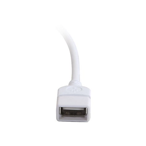 Nahaufnahme eines weißen USB-A-Steckers auf weißem Hintergrund.