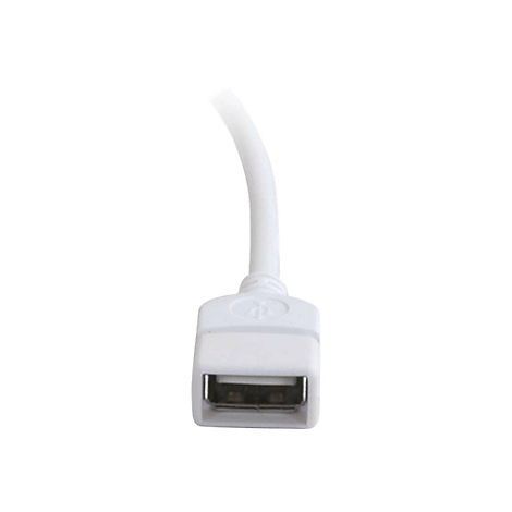 Nahaufnahme eines weißen USB-A-Anschlusses mit angeschlossenem Kabel, isoliert auf weißem Hintergrund.