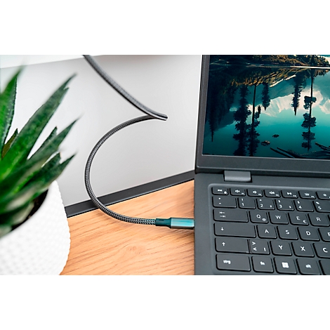 Un ordinateur portable avec un câble d'alimentation, un moniteur, une plante et une surface en bois. Un paysage naturel est visible dans l'ordinateur portable.